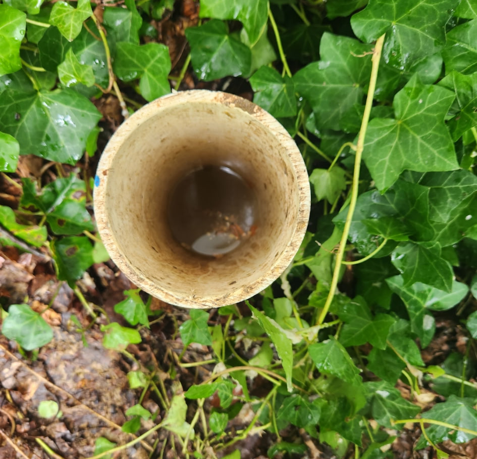Septic Testing (Test Pits & Percolation)