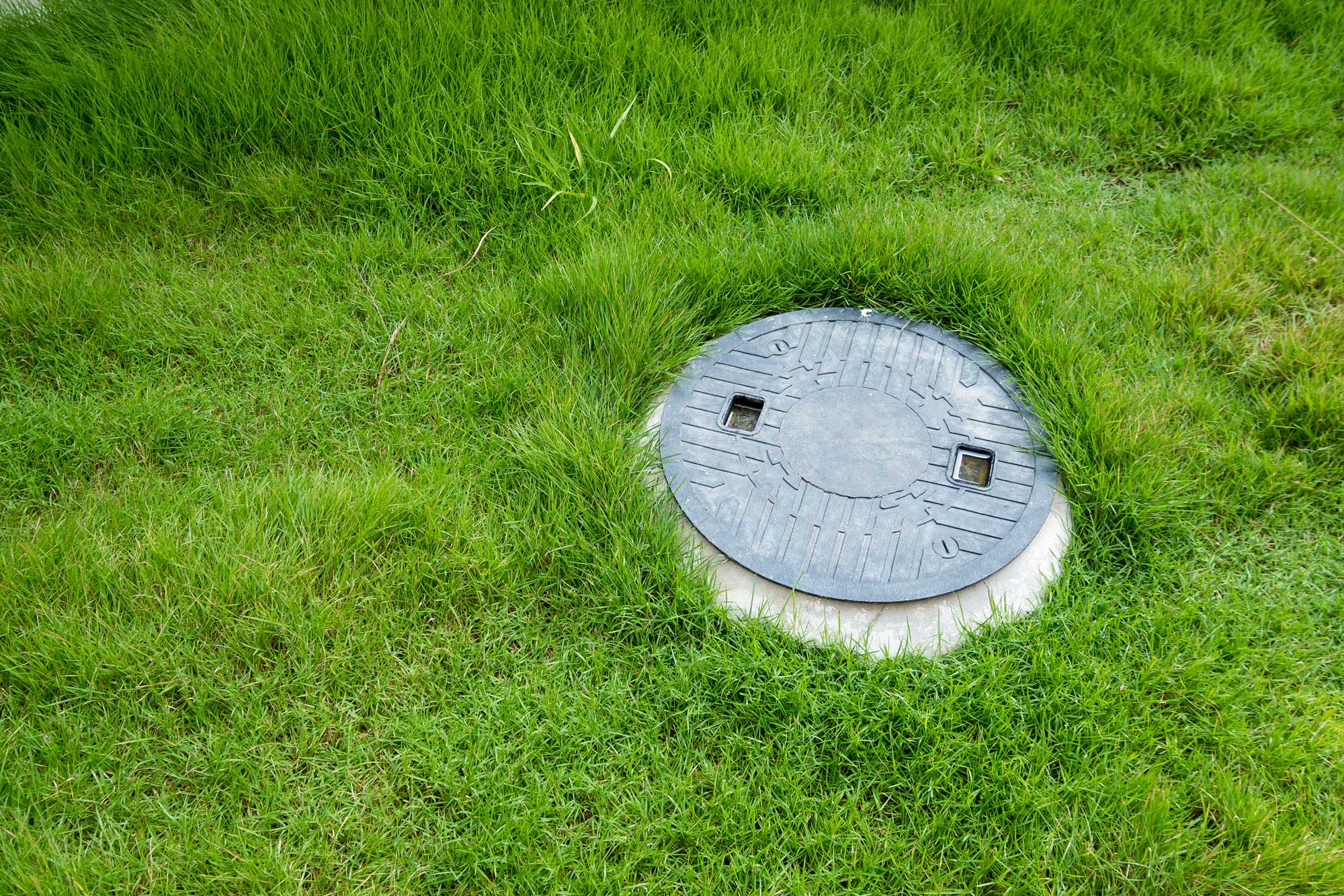 Septic Tank Problems - Lush Green Grass